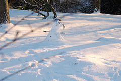 winter-wonderland