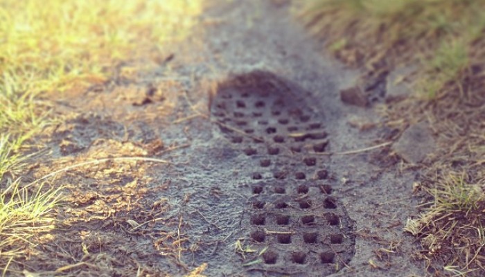 Running: Winter footage helps get the job done.